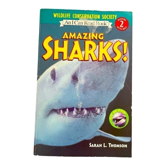 Scholastic educational kids books set of four age 5+ - Picture 4 of 11